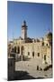 Temple Mount, UNESCO World Heritage Site, Jerusalem, Israel, Middle East-Yadid Levy-Mounted Photographic Print