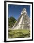 Temple No. 1 (Jaguar Temple), Tikal, UNESCO World Heritage Site, Peten, Guatemala-null-Framed Photographic Print