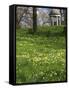 Temple of Aeolus in Spring, Royal Botanic Gardens, Kew, UNESCO World Heritage Site, London, England-Peter Barritt-Framed Stretched Canvas