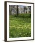 Temple of Aeolus in Spring, Royal Botanic Gardens, Kew, UNESCO World Heritage Site, London, England-Peter Barritt-Framed Photographic Print