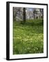 Temple of Aeolus in Spring, Royal Botanic Gardens, Kew, UNESCO World Heritage Site, London, England-Peter Barritt-Framed Photographic Print