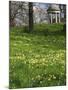 Temple of Aeolus in Spring, Royal Botanic Gardens, Kew, UNESCO World Heritage Site, London, England-Peter Barritt-Mounted Photographic Print