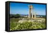 Temple of Apollo at the Acropolis, Rhodes, Dodecanese, Greek Islands, Greece, Europe-Michael Runkel-Framed Stretched Canvas