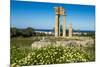 Temple of Apollo at the Acropolis, Rhodes, Dodecanese, Greek Islands, Greece, Europe-Michael Runkel-Mounted Photographic Print