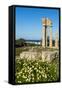 Temple of Apollo at the Acropolis, Rhodes, Dodecanese, Greek Islands, Greece, Europe-Michael Runkel-Framed Stretched Canvas