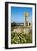 Temple of Apollo at the Acropolis, Rhodes, Dodecanese, Greek Islands, Greece, Europe-Michael Runkel-Framed Photographic Print