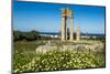 Temple of Apollo at the Acropolis, Rhodes, Dodecanese, Greek Islands, Greece, Europe-Michael Runkel-Mounted Photographic Print