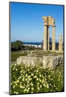 Temple of Apollo at the Acropolis, Rhodes, Dodecanese, Greek Islands, Greece, Europe-Michael Runkel-Mounted Photographic Print