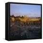 Temple of Apollo, Corinth, Greece, Europe-Tony Gervis-Framed Stretched Canvas