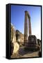 Temple of Apollo, Didyma, Anatolia, Turkey, Asia Minor, Eurasia-Neil Farrin-Framed Stretched Canvas