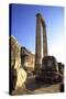 Temple of Apollo, Didyma, Anatolia, Turkey, Asia Minor, Eurasia-Neil Farrin-Stretched Canvas