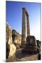 Temple of Apollo, Didyma, Anatolia, Turkey, Asia Minor, Eurasia-Neil Farrin-Mounted Photographic Print