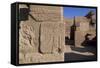 Temple of Arensnuphis-null-Framed Stretched Canvas