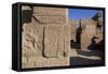 Temple of Arensnuphis-null-Framed Stretched Canvas