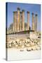 Temple of Artemis, Jerash, Jordan-Vivienne Sharp-Stretched Canvas