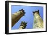 Temple of Artemis, Jerash, Jordan-Vivienne Sharp-Framed Photographic Print