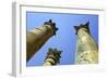 Temple of Artemis, Jerash, Jordan-Vivienne Sharp-Framed Photographic Print