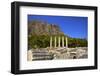 Temple of Athena, Ancient City of Priene, Anatolia, Turkey, Asia Minor, Eurasia-Neil Farrin-Framed Photographic Print