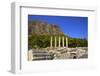 Temple of Athena, Ancient City of Priene, Anatolia, Turkey, Asia Minor, Eurasia-Neil Farrin-Framed Photographic Print