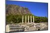 Temple of Athena, Ancient City of Priene, Anatolia, Turkey, Asia Minor, Eurasia-Neil Farrin-Mounted Photographic Print