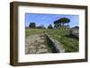 Temple of Athena (Temple of Ceres), Paestum, Greek Ruins, Campania, Italy-Eleanor Scriven-Framed Photographic Print