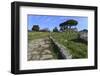 Temple of Athena (Temple of Ceres), Paestum, Greek Ruins, Campania, Italy-Eleanor Scriven-Framed Photographic Print