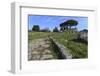 Temple of Athena (Temple of Ceres), Paestum, Greek Ruins, Campania, Italy-Eleanor Scriven-Framed Photographic Print