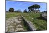 Temple of Athena (Temple of Ceres), Paestum, Greek Ruins, Campania, Italy-Eleanor Scriven-Mounted Photographic Print