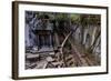Temple of Beng Mealea, Built in 12th Century by King Suryavarman Ii, Siem Reap Province-Nathalie Cuvelier-Framed Photographic Print