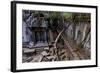 Temple of Beng Mealea, Built in 12th Century by King Suryavarman Ii, Siem Reap Province-Nathalie Cuvelier-Framed Photographic Print