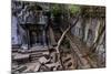 Temple of Beng Mealea, Built in 12th Century by King Suryavarman Ii, Siem Reap Province-Nathalie Cuvelier-Mounted Photographic Print