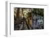 Temple of Beng Mealea, Built in 12th Century by King Suryavarman Ii, Siem Reap Province-Nathalie Cuvelier-Framed Photographic Print