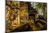 Temple of Beng Mealea, Built in 12th Century by King Suryavarman Ii, Siem Reap Province-Nathalie Cuvelier-Mounted Photographic Print