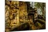 Temple of Beng Mealea, Built in 12th Century by King Suryavarman Ii, Siem Reap Province-Nathalie Cuvelier-Mounted Photographic Print