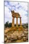 Temple of Castor and Pollux-Matthew Williams-Ellis-Mounted Photographic Print