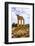 Temple of Castor and Pollux-Matthew Williams-Ellis-Framed Photographic Print