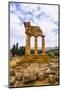 Temple of Castor and Pollux-Matthew Williams-Ellis-Mounted Photographic Print