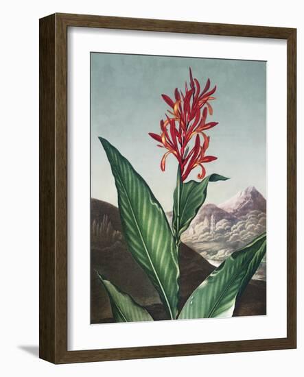 Temple of Flora I-Robert Thornton-Framed Art Print