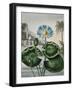 Temple of Flora IX-Robert Thornton-Framed Art Print