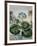 Temple of Flora IX-Robert Thornton-Framed Art Print