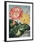 Temple of Flora V-Robert Thornton-Framed Art Print