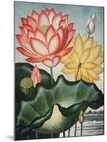 Temple of Flora V-Robert Thornton-Mounted Art Print