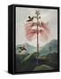 Temple of Flora VIII-Robert Thornton-Framed Stretched Canvas