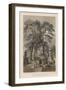 Temple of Hat-Chi-Man-Ya-Chu-Ro, Simoda (Sintoo), 1855-Wilhelm Joseph Heine-Framed Giclee Print