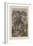 Temple of Hat-Chi-Man-Ya-Chu-Ro, Simoda (Sintoo), 1855-Wilhelm Joseph Heine-Framed Giclee Print