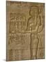 Temple of Hathor, Dendera, Egypt, North Africa-Julia Bayne-Mounted Photographic Print