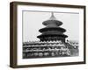 Temple of Heaven in Peking China Photograph - Peking, China-Lantern Press-Framed Art Print