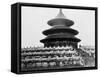 Temple of Heaven in Peking China Photograph - Peking, China-Lantern Press-Framed Stretched Canvas