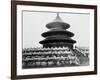 Temple of Heaven in Peking China Photograph - Peking, China-Lantern Press-Framed Art Print