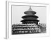 Temple of Heaven in Peking China Photograph - Peking, China-Lantern Press-Framed Art Print